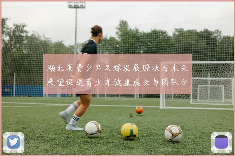 湖北省青少年足球发展现状与未来展望促进青少年健康成长与团队合作精神