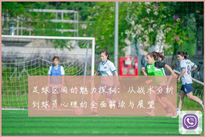 足球区间的魅力探秘：从战术分析到球员心理的全面解读与展望