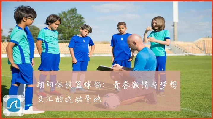 朝阳体校篮球场：青春激情与梦想交汇的运动圣地