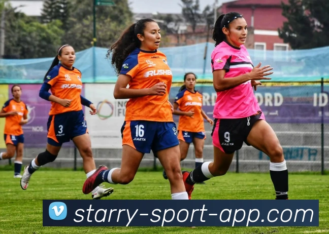 Starrysky Sports服务体系